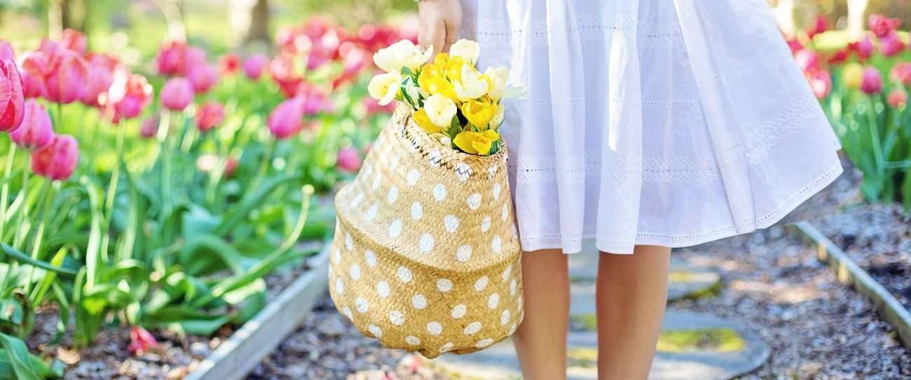 Rinnova il tuo giardino: le nostre 5 idee per te