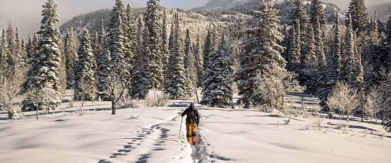 Attività per una giornata invernale ideale